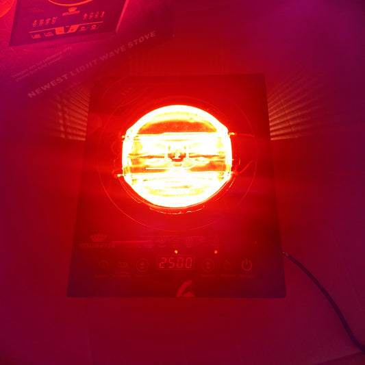 Lot Imported Berghofer Infrared Cooker